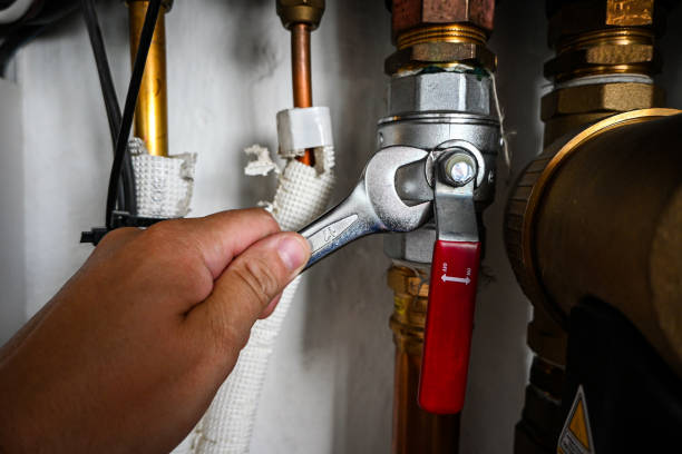 Best Clogged Drain Plumber  in Feather Sound, FL